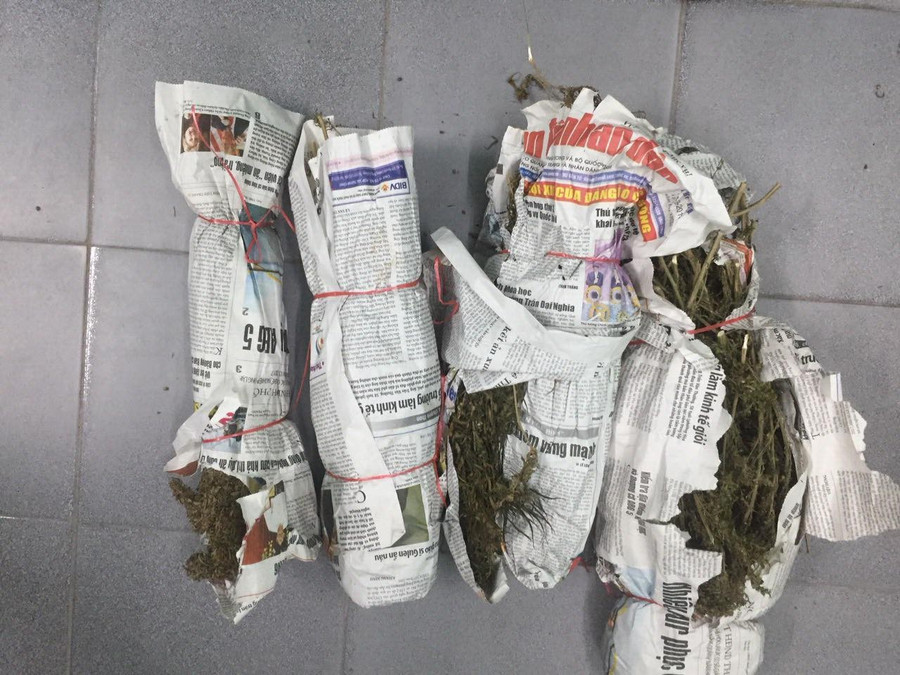 Lực lượng công an phát hiện số lượng lớn cần sa khô dưới dạng cành, lá, hạt được ngụy trang dưới các loại trái cây. Lực lượng công an phát hiện số lượng lớn cần sa khô dưới dạng cành, lá, hạt được ngụy trang dưới các loại trái cây.