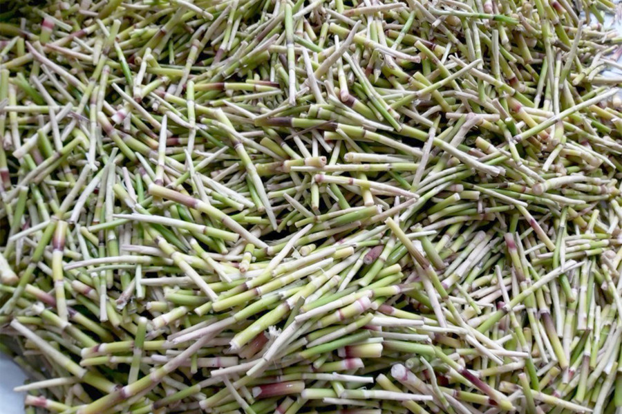 Măng loi đặc sản của huyện Tân Kỳ, Nghệ An. (Ảnh: Xuân Hoàng) Măng loi đặc sản của huyện Tân Kỳ, Nghệ An. (Ảnh: Xuân Hoàng)