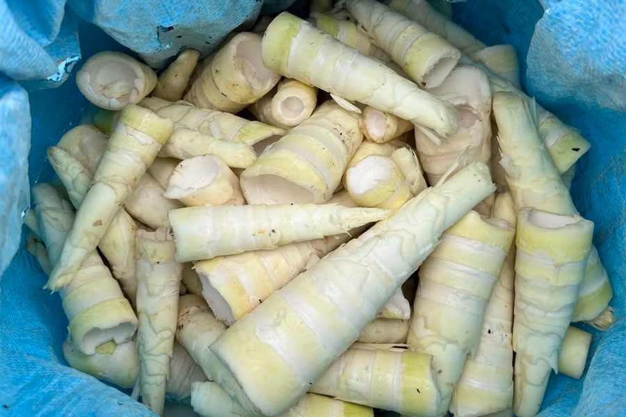 Măng sau khi thu hoạch được lột vỏ, bán với giá 15.000 đồng/kg. (Ảnh: Phạm Tâm)