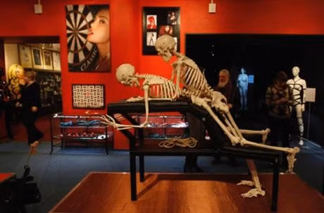 Ngượng chín mặt với bảo tàng ‘sung sướng’ nhất thế giới ảnh 22