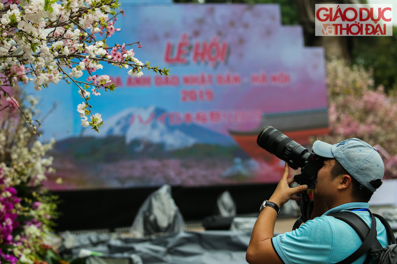 Nhiều người yêu hoa đã đến chiêm ngưỡng và chụp hoa anh đào từ sớm.