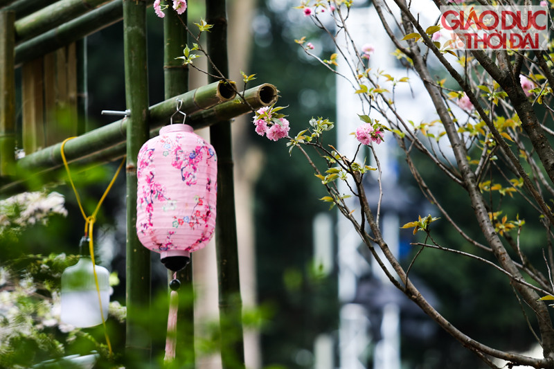 Không gian lễ hội năm nay được thiết kế hài hòa với nhiều hình ảnh đặc trưng của 2 đất nước.