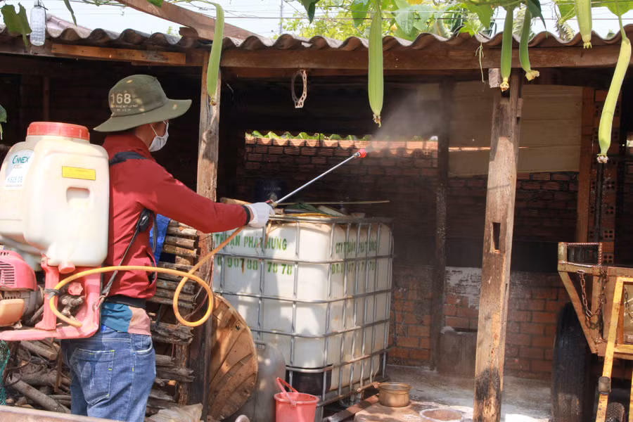 Cơ quan chức năng tiến hành phun thuốc lở mồm long móng tại các khu vực chăn nuôi gia súc.