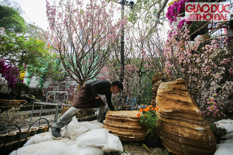 Phía bên trong, nhân viên của Nhật Bản đang chăm sóc hoa đào và hoàn thiện những trang trí cuối cùng.