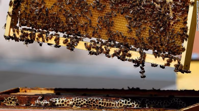 Mạng 5G đem lại lợi ích gì cho cuộc sống con người?