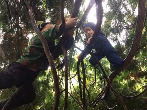 Các buổi học ngoài trời của trẻ mẫu giáoở Đức.Ảnh minh họa:Parentmap. me-my-soc-khi-cho-con-hoc-mam-non-tai-duc-1