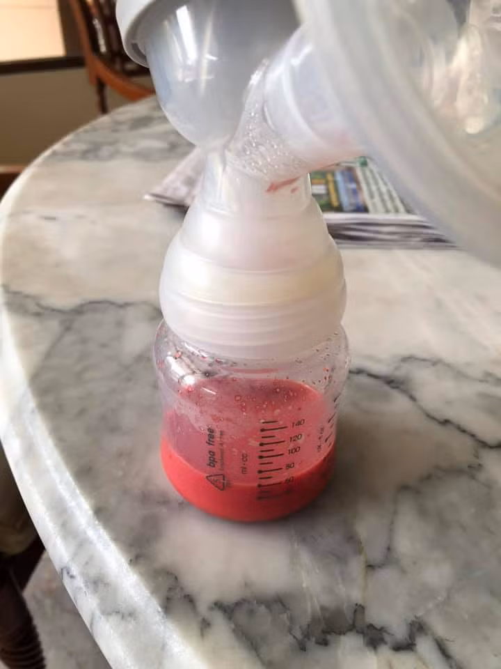 68515850_2878861792142078_4383542445200113664_n