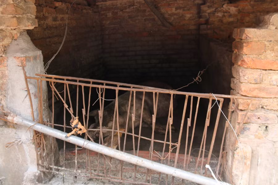 Cơ ngơi 3 tầng nhà bà Tân Vlog ở Bắc Giang-4