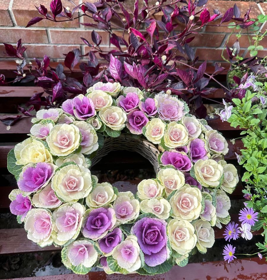 Bạn có thể mua chậu hoa hình tròn bán sẵn kiểu tre đan, lưới như bao tải lót xuống cho đất và xếp hoa bắp cải loại size nhỏ.