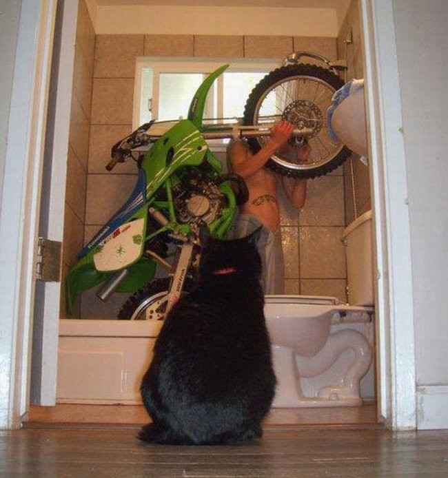 Những bức ảnh khiến dân tình phải… ‘đứng hình’ ảnh 3 Những bức ảnh khiến dân tình phải… ‘đứng hình’ ảnh 3