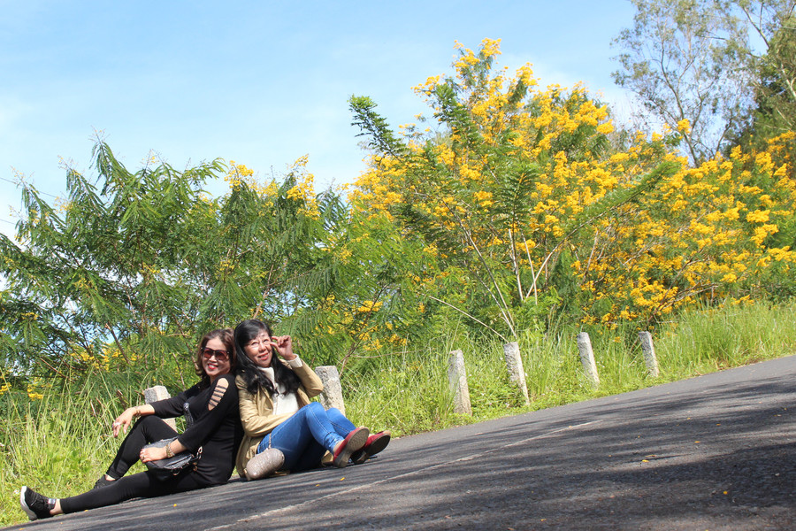 Tạo dáng bên hoa