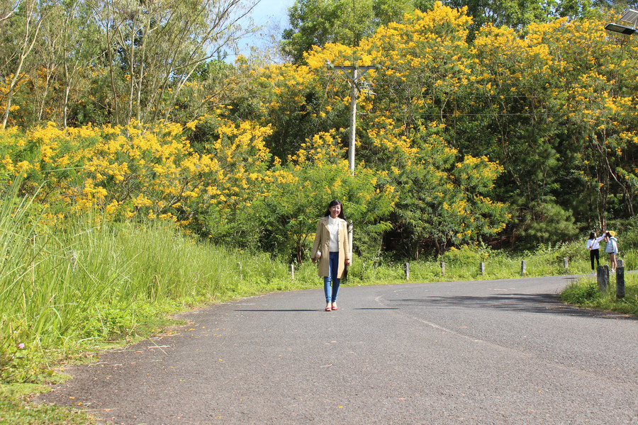 Thanh bình những ngày hoa nở rộ