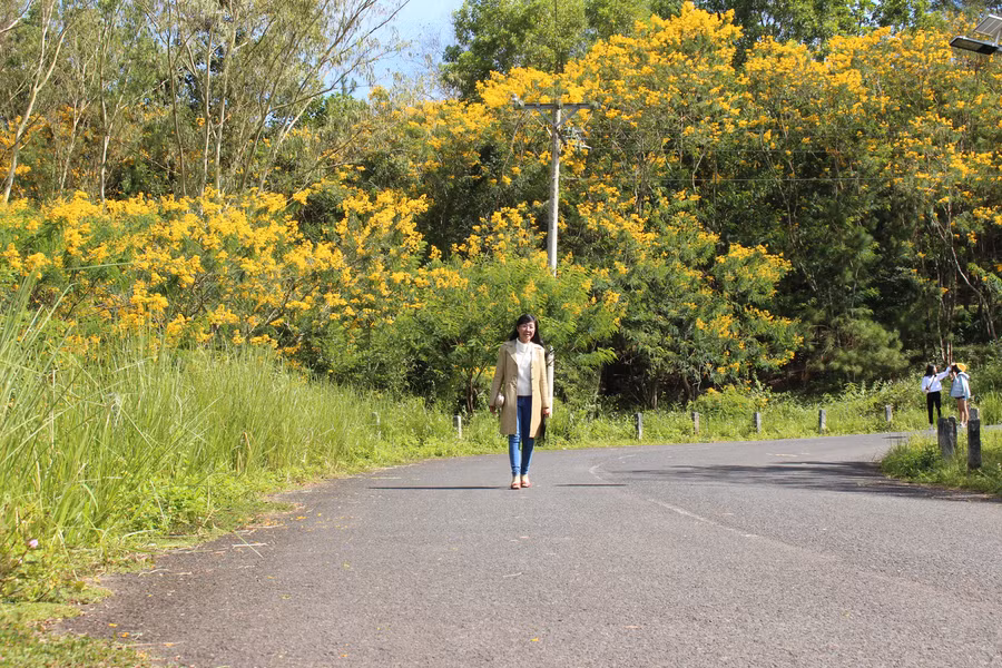 Thanh bình những ngày hoa nở rộ