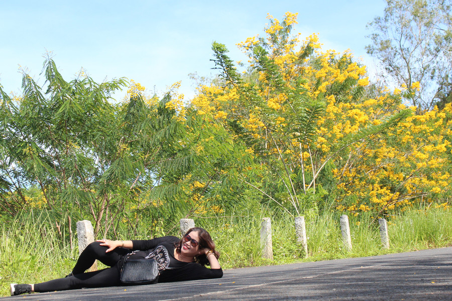 Thư thả bên hoa Muồng