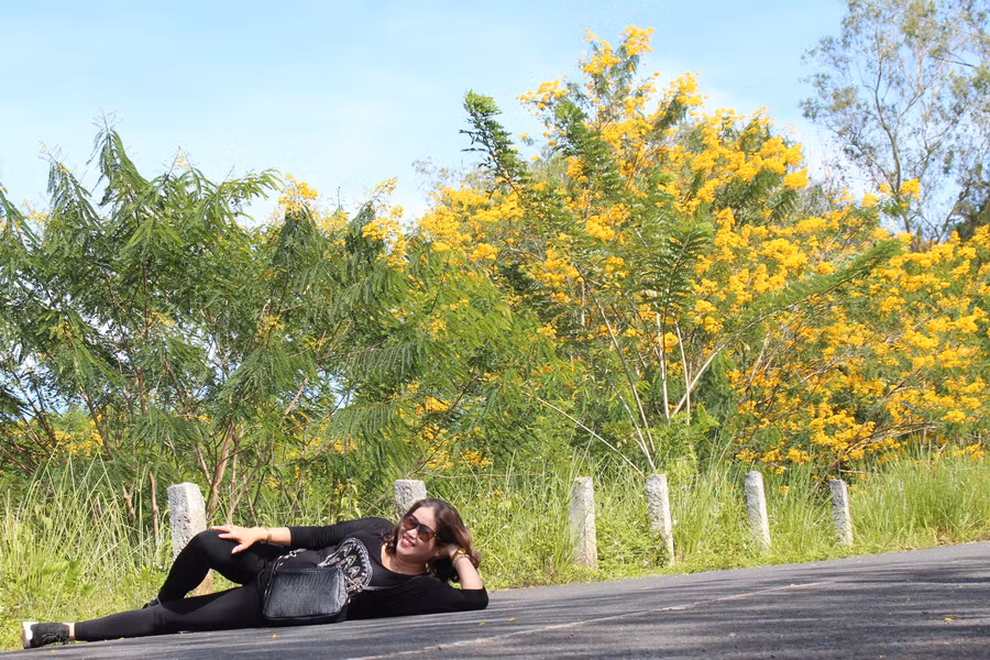 Thư thả bên hoa Muồng