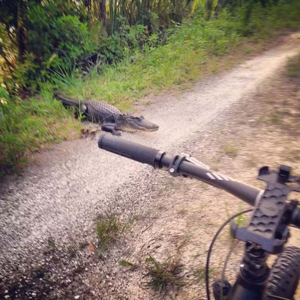 Ai cũng có ngày tồi tệ nhưng những người này đã nâng tầm xui xẻo lên một đẳng cấp mới hoàn toàn - Ảnh 15.