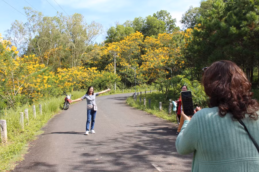 Du khách chụp lại những tấm hình thật đẹp làm kỷ niệm cho mình về một mùa hoa