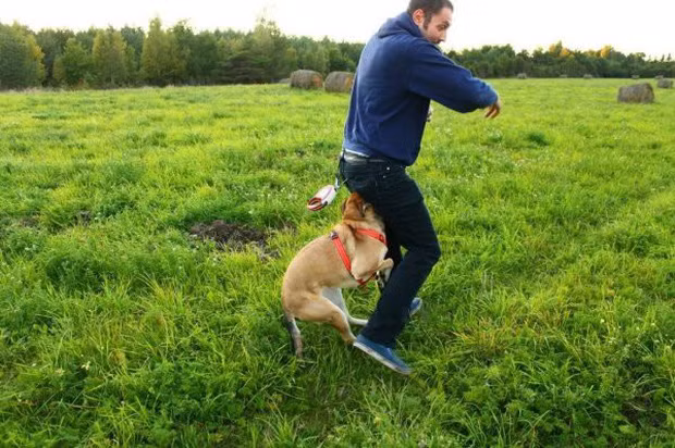 Ai cũng có ngày tồi tệ nhưng những người này đã nâng tầm xui xẻo lên một đẳng cấp mới hoàn toàn - Ảnh 14.