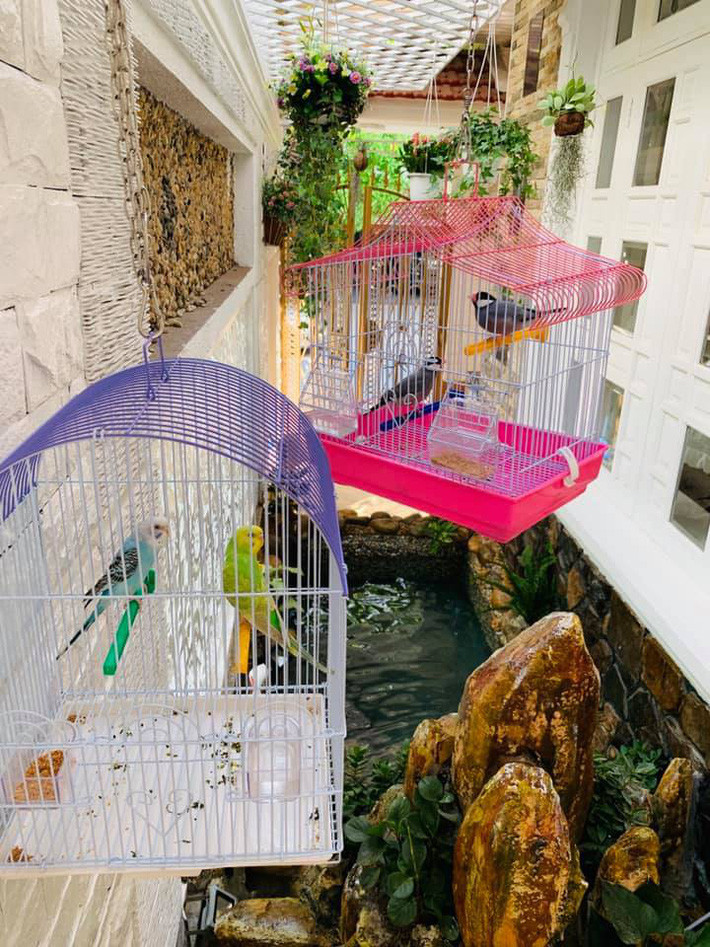 Ngất ngây trước vẻ đẹp biệt thự ngập tràn thiên nhiên của nữ ca sĩ Vy Oanh - Ảnh 12. Ngất ngây trước vẻ đẹp biệt thự ngập tràn thiên nhiên của nữ ca sĩ Vy Oanh - Ảnh 12.