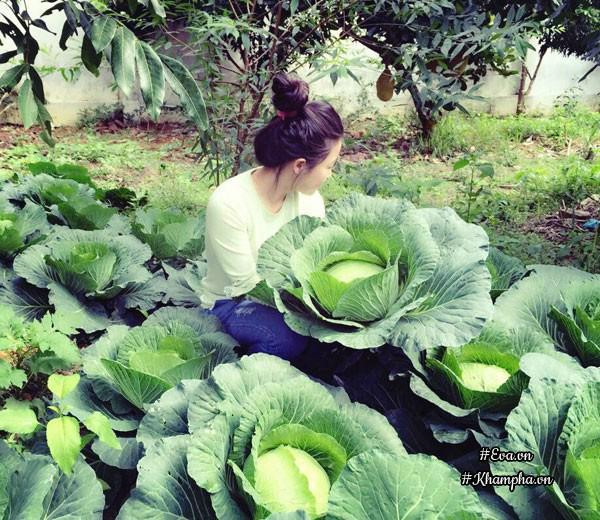 Nhà vườn thơ mộng 3000m² như resort của nữ biên tập viên VTV xinh đẹp - Hình 7 Nha vuon tho mong 3000m² nhu resort cua nu bien tap vien VTV xinh dep-Hinh-7