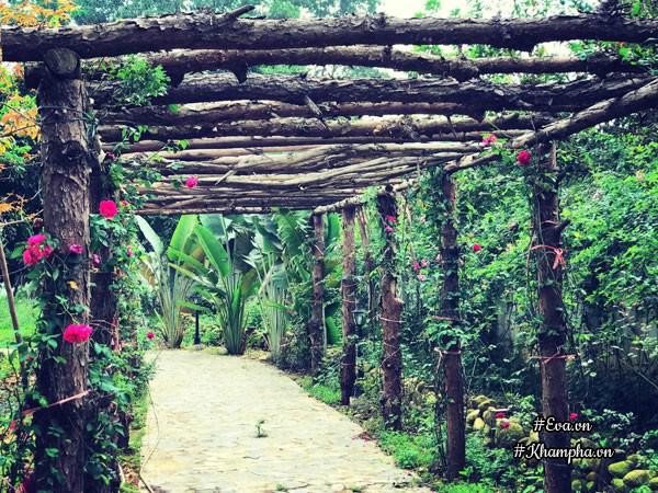 Nhà vườn thơ mộng 3000m² như resort của nữ biên tập viên VTV xinh đẹp - Hình 5 Nha vuon tho mong 3000m² nhu resort cua nu bien tap vien VTV xinh dep-Hinh-5