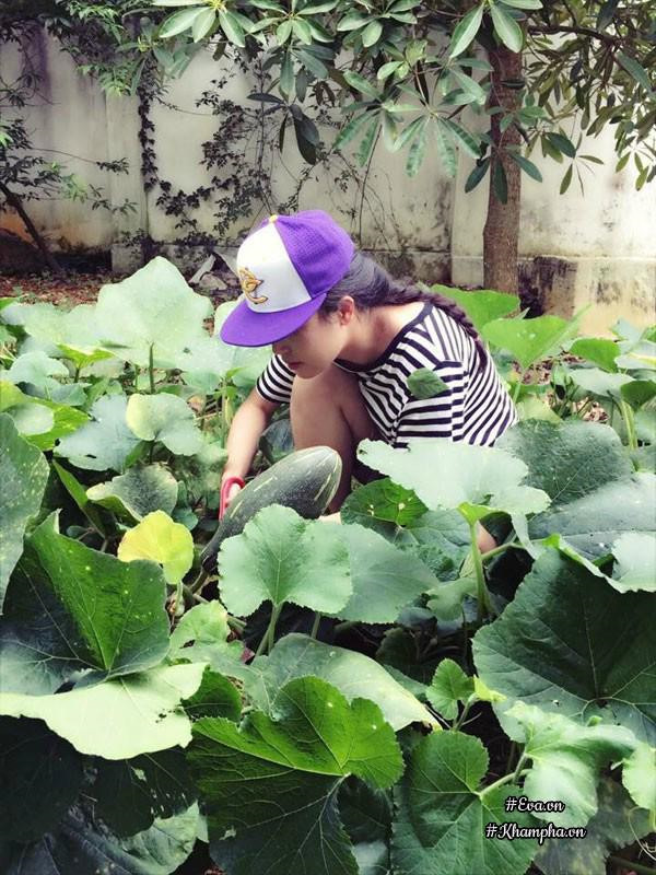 Nhà vườn thơ mộng 3000m² như resort của nữ biên tập viên VTV xinh đẹp - Hình 8 Nha vuon tho mong 3000m² nhu resort cua nu bien tap vien VTV xinh dep-Hinh-8