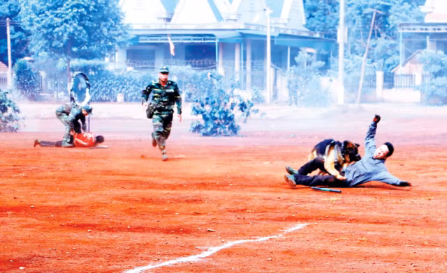 Cảnh khuyển - chiến binh trong cuộc chiến chống tội phạm