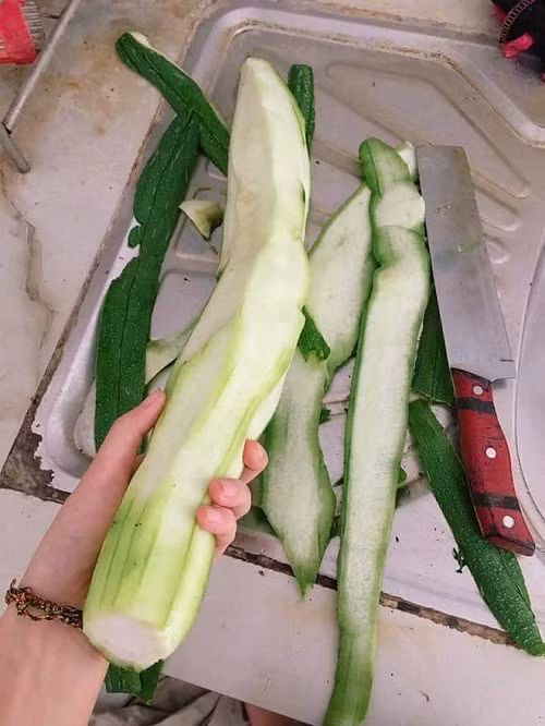 Tiểu mướp phi đao.