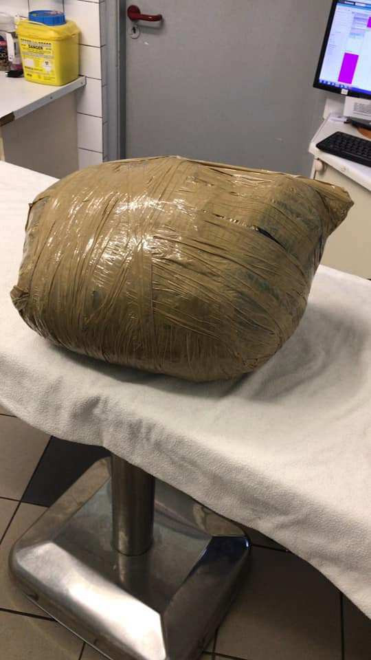 Gửi thú cưng cho dịch vụ chăm sóc để đi du lịch, cô chủ đau đớn nhận về bọc chứa xác chú chó đáng thương bị quấn như món hàng - Ảnh 3. Gửi thú cưng cho dịch vụ chăm sóc để đi du lịch, cô chủ đau đớn nhận về bọc chứa xác chú chó đáng thương bị quấn như món hàng - Ảnh 3.