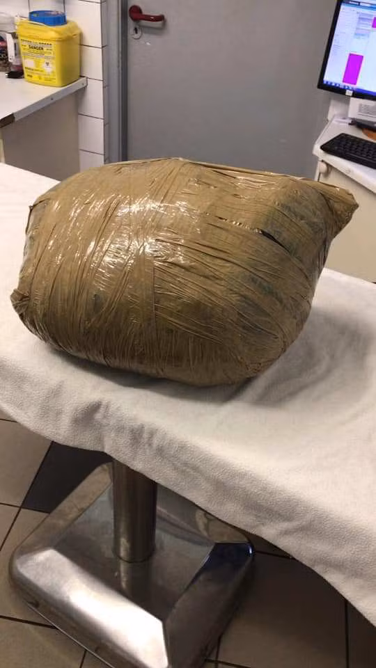 Gửi thú cưng cho dịch vụ chăm sóc để đi du lịch, cô chủ đau đớn nhận về bọc chứa xác chú chó đáng thương bị quấn như món hàng - Ảnh 3.