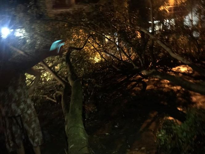 Mưa đá to như nắm tay trút xuống Yên Bái, nhiều nhà dân hư hỏng - ảnh 7