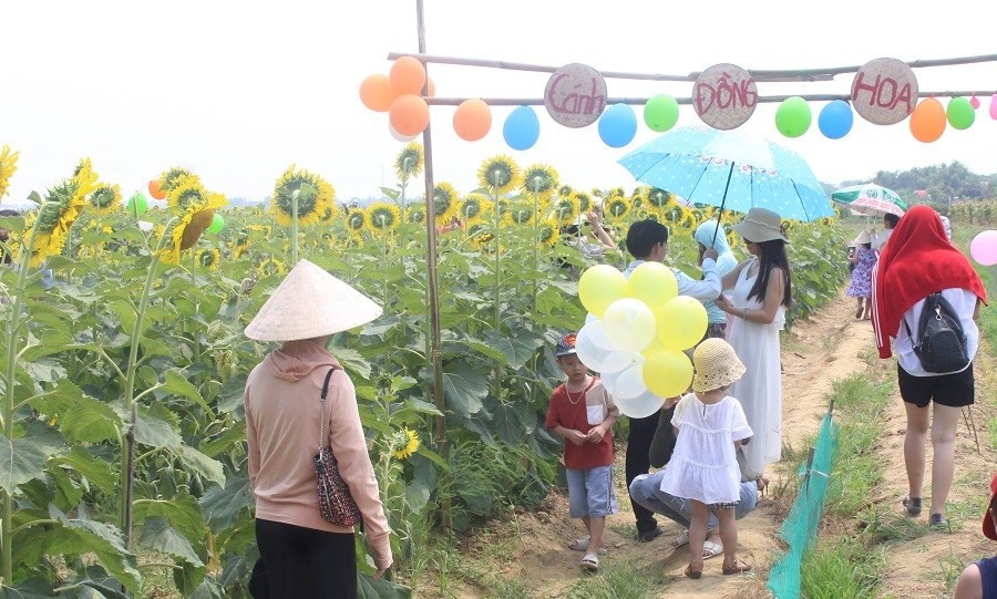 Du khách đội nắng, check in “cánh đồng hoa Mặt trời” ở Huế ảnh 12 Keyword đầu tiên có dấu