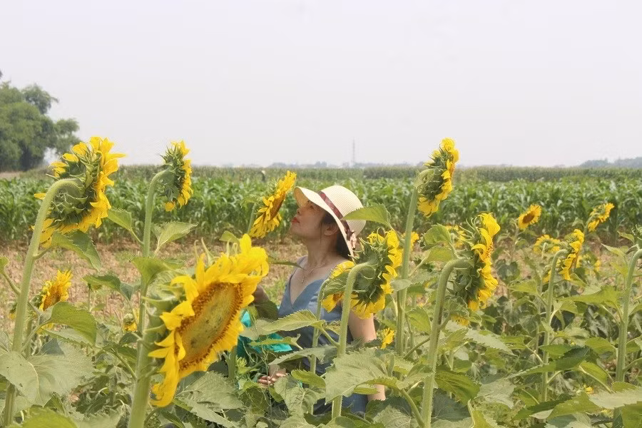 Keyword đầu tiên có dấu