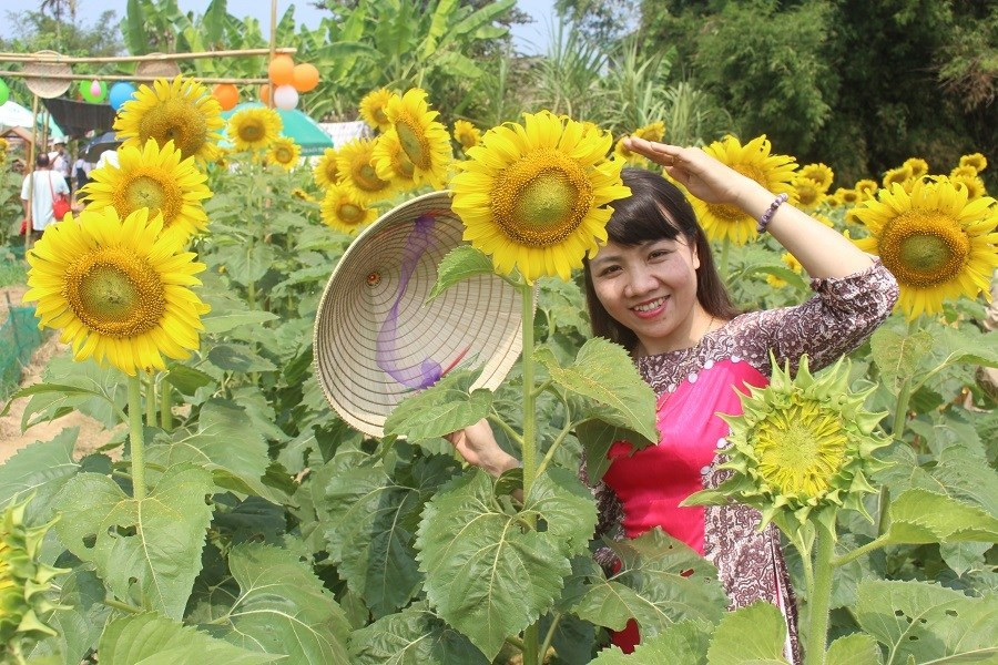 Du khách đội nắng, check in “cánh đồng hoa Mặt trời” ở Huế ảnh 10 Keyword đầu tiên có dấu