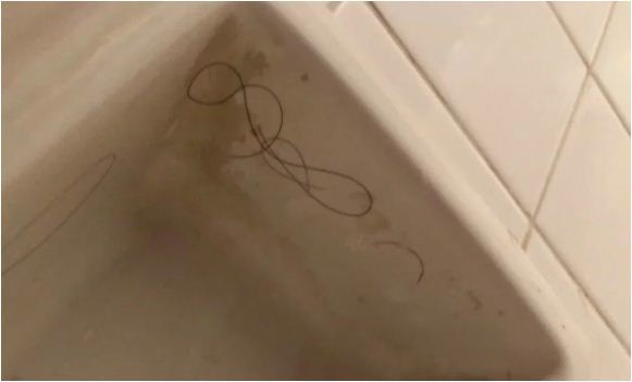 Ngã ngửa vì phòng khách sạn, cặp đôi‘vỡ mộng’ kỳ trăng mật trăm triệu