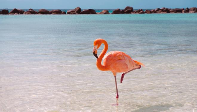 gioi tre the gioi do xo check-in sang chanh tai bai bien hong hac - 1