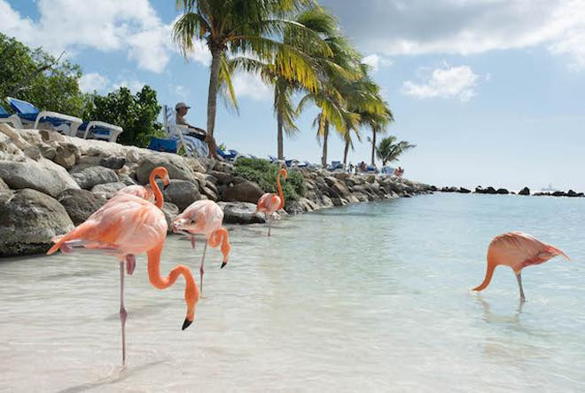 gioi tre the gioi do xo check-in sang chanh tai bai bien hong hac - 5