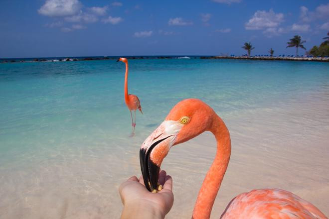 gioi tre the gioi do xo check-in sang chanh tai bai bien hong hac - 10