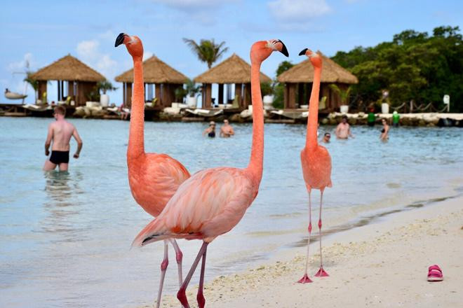 gioi tre the gioi do xo check-in sang chanh tai bai bien hong hac - 3