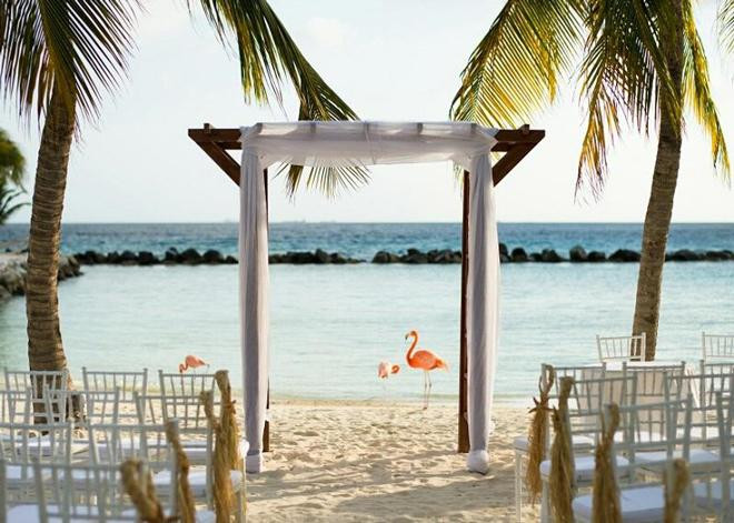 gioi tre the gioi do xo check-in sang chanh tai bai bien hong hac - 6