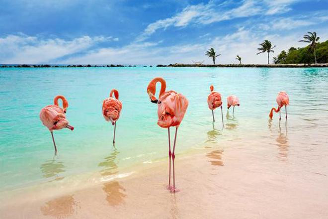 gioi tre the gioi do xo check-in sang chanh tai bai bien hong hac - 4