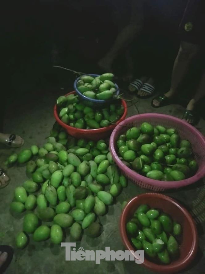 Mưa đá to như nắm tay trút xuống Yên Bái, nhiều nhà dân hư hỏng - ảnh 5