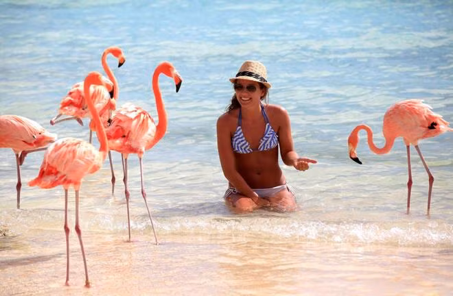 Giới trẻ thế giới đổ xô check-in sang chảnh tại bãi biển hồng hạc