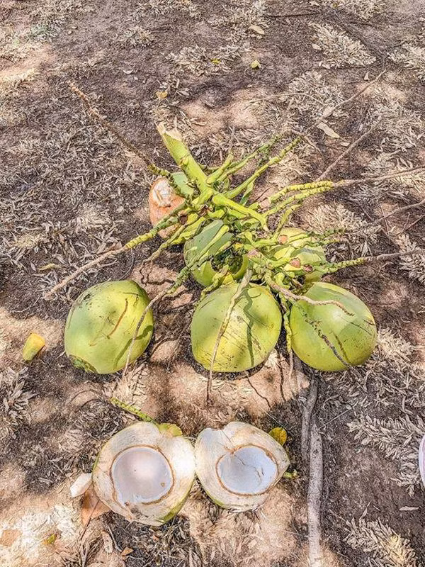 theo chan ly nha ky, nguoi dep tung mua nha tra gop tau miet vuon “thang canh co bay” - 3