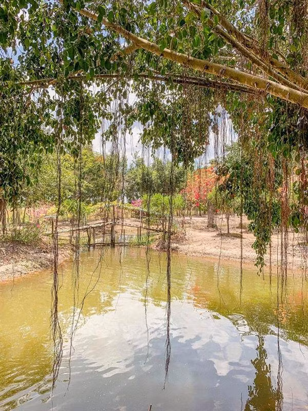 theo chan ly nha ky, nguoi dep tung mua nha tra gop tau miet vuon “thang canh co bay” - 2