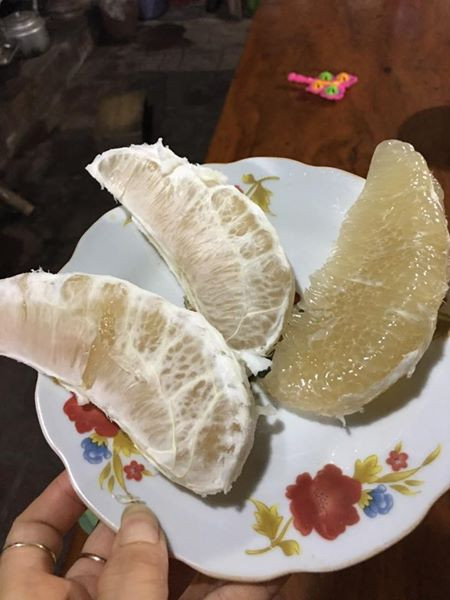 bưởi vàng óng, bưởi lạ, bưởi lạ ở chợ Hà Nội, bưởi Việt Nam, bưởi Tàu, bưởi Trung Quốc bưởi vàng óng, bưởi lạ, bưởi lạ ở chợ Hà Nội, bưởi Việt Nam, bưởi Tàu, bưởi Trung Quốc