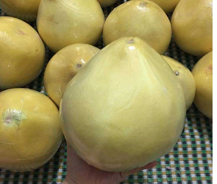 bưởi vàng óng, bưởi lạ, bưởi lạ ở chợ Hà Nội, bưởi Việt Nam, bưởi Tàu, bưởi Trung Quốc bưởi vàng óng, bưởi lạ, bưởi lạ ở chợ Hà Nội, bưởi Việt Nam, bưởi Tàu, bưởi Trung Quốc