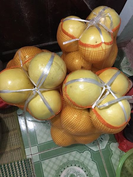 bưởi vàng óng, bưởi lạ, bưởi lạ ở chợ Hà Nội, bưởi Việt Nam, bưởi Tàu, bưởi Trung Quốc bưởi vàng óng, bưởi lạ, bưởi lạ ở chợ Hà Nội, bưởi Việt Nam, bưởi Tàu, bưởi Trung Quốc