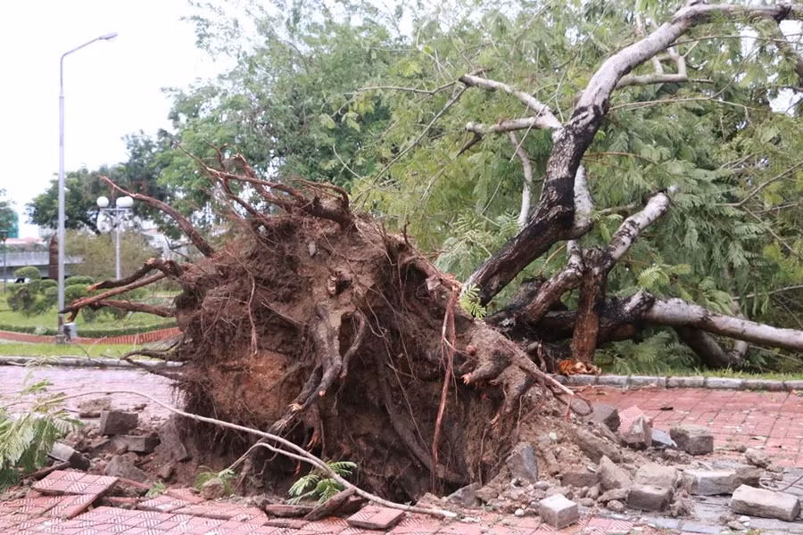 Thừa Thiên – Huế: 1 người tử vong, 1.664 ngôi nhà tốc mái sau bão số 5 ảnh 8