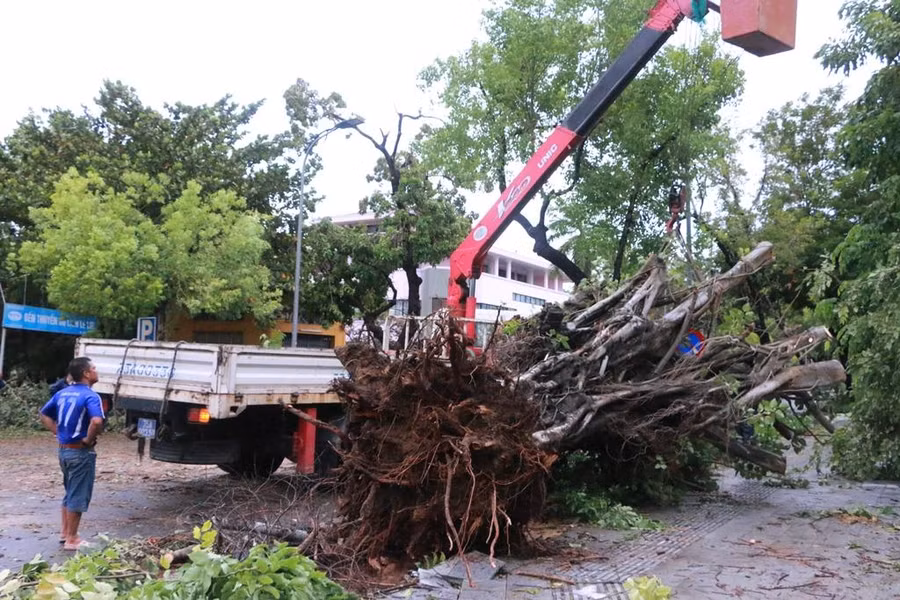 Thừa Thiên – Huế: 1 người tử vong, 1.664 ngôi nhà tốc mái sau bão số 5 ảnh 1